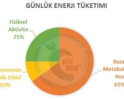 Tahinli ekmek tüketimi ve metabolizma hızı